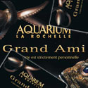 Photo  de Illustration : Carte grand Ami l'Aquarium