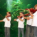 Photo  de photo : ubacto - concert d'lves, classe de violon  l'Aquarium en 2005