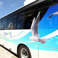 Photo  de photo : DR, Conseil g�n�ral 17 - Transports Les Mouettes