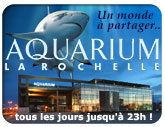 Vers l'Aquarium La Rochelle :  ouvert tous les jours de 9h � 23h